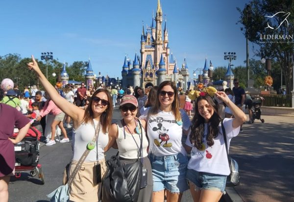 encantamento do cliente Disney