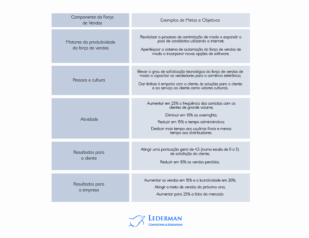Passo 2: estratégia da Força de Vendas